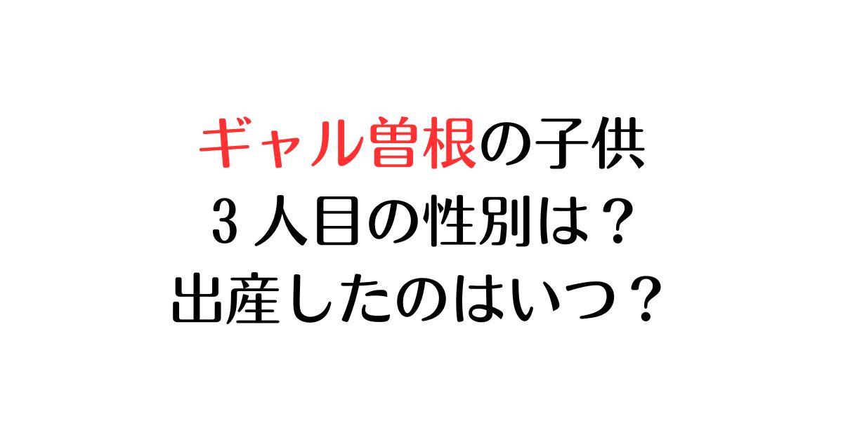 ギャル曽根の子供３人目の性別は？出産したのはいつ？